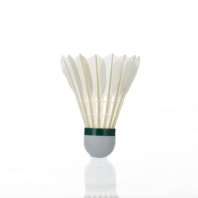 Kawasaki Feather volano 8E Pro - Badminton Event recensione e prezzo