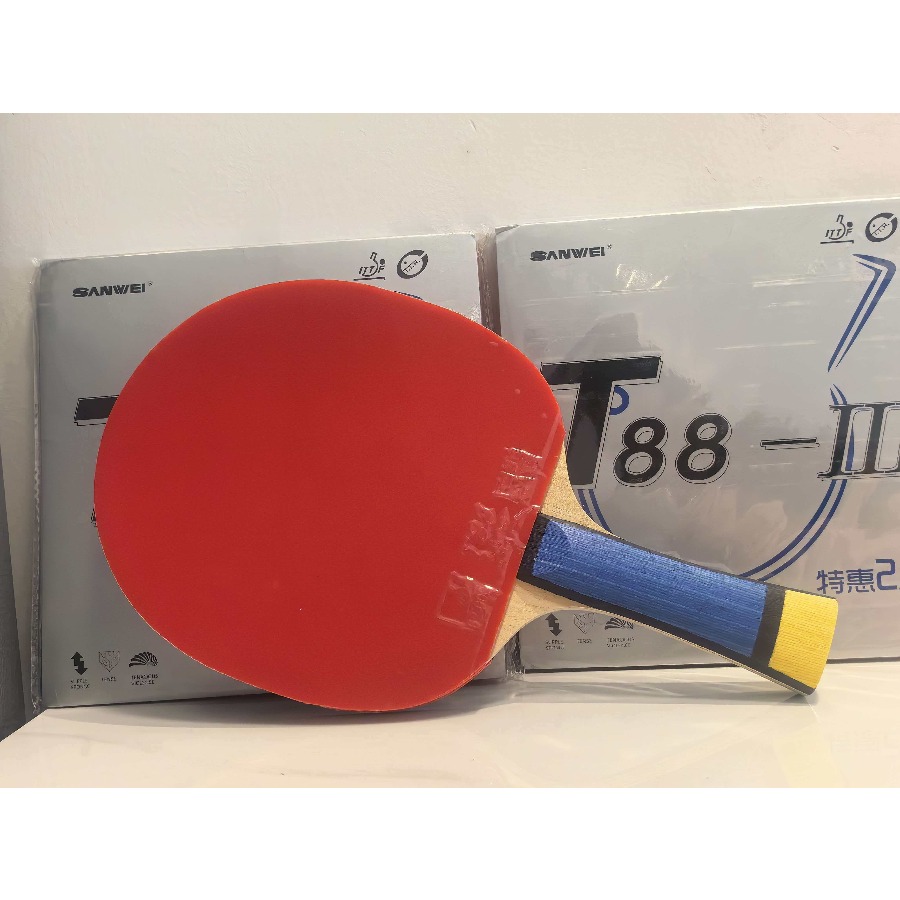 Set Fai-da-te per Racchetta da - Badminton Minion recensione e prezzo