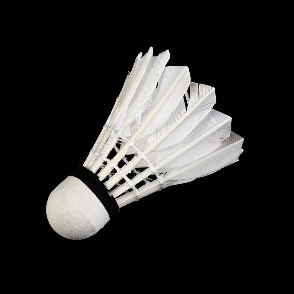 Volani da Badminton in Piume d - Badminton League recensione e prezzo